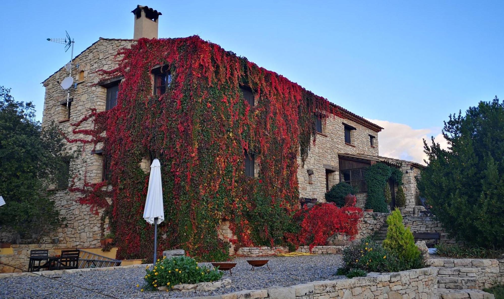 Mas De L'Arlequi Guest House Rojals Exterior foto
